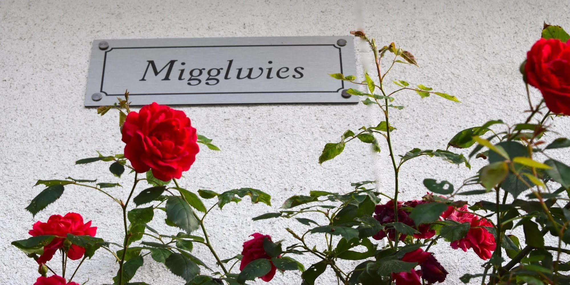 Migglwieshof Kelchsau Extérieur photo